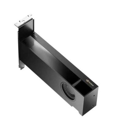 PNY NVIDIA RTX 2000 Ada Generation 16 GB GDDR6