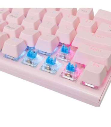 White Shark GK-002421V2 Wakizashi-2 Pink US-Blue.SW