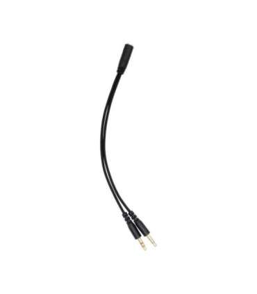 White Shark GH-2446 Gottan Black