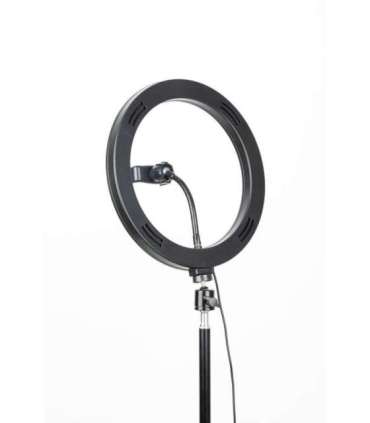 Tripod Havit ST7012 Pro with light ring