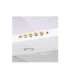 Akpo WK-4 Classic Wall-mounted GOLD 60 WHITE