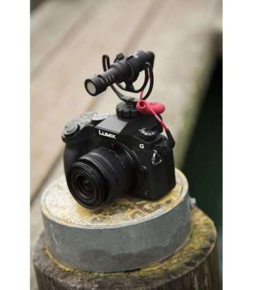 RØDE VideoMicro Black Digital camera microphone