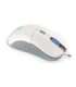 ENDORFY GEM Plus Onyx White mouse Gaming Right-hand USB Type-C Optical 19000 DPI