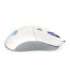 ENDORFY GEM Plus Onyx White mouse Gaming Right-hand USB Type-C Optical 19000 DPI