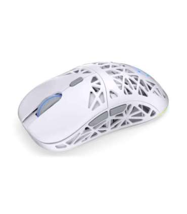 ENDORFY LIV Wireless Onyx White Gaming Mouse (EY6A019)