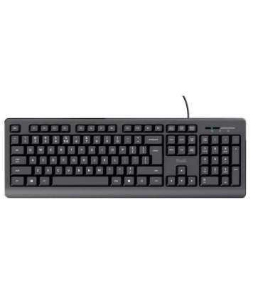 Trust Basics keyboard USB QWERTY US English Black