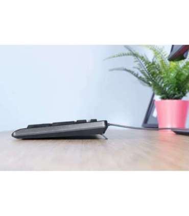 Trust Primo keyboard USB QWERTY US English Black