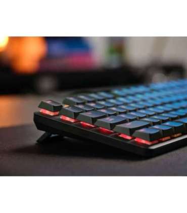 Trust GXT 866 TORIX keyboard Gaming USB QWERTY US International Black