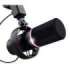 Trust GXT 255+ Onyx Black PC microphone