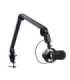 Trust GXT 255+ Onyx Black PC microphone