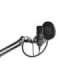 ENDORFY Solum Black PC microphone