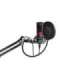 ENDORFY Solum Streaming Black PC microphone