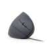 Gembird MUS-ERGO-01 mouse Right-hand USB Type-A Optical 3200 DPI