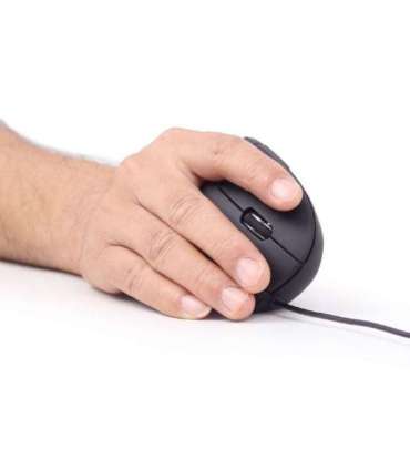 Gembird MUS-ERGO-01 mouse Right-hand USB Type-A Optical 3200 DPI