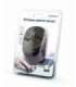 Gembird MUSW-4B-05 mouse RF Wireless Optical 1600 DPI