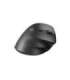 NATEC VERTICAL MOUSE CRAKE 2 WIRELESS BLACK