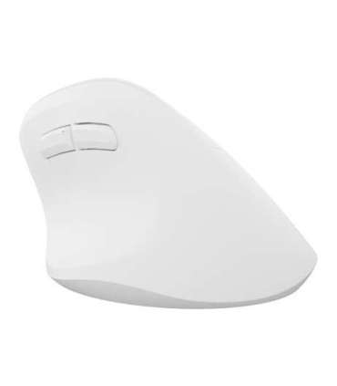 NATEC Crake 2 mouse Universal Right-hand RF Wireless + Bluetooth Optical 2400 DPI