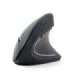 Gembird MUSW-ERGO-01 mouse Right-hand RF Wireless Optical 1600 DPI