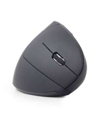 Gembird MUSW-ERGO-01 mouse Right-hand RF Wireless Optical 1600 DPI