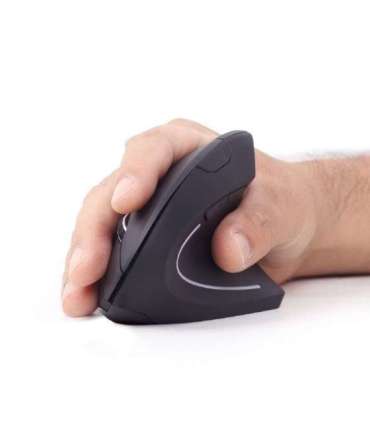 Gembird MUSW-ERGO-01 mouse Right-hand RF Wireless Optical 1600 DPI