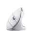 Trust Verto Vertical Ergonomic wireless mouse white (25132)