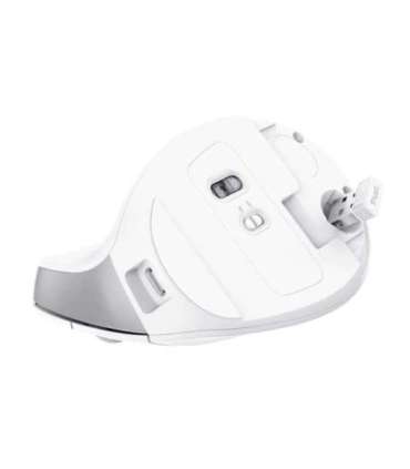 Trust Bayo II - Ergonomic Wireless Mouse (white)