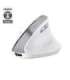 Trust Bayo II - Ergonomic Wireless Mouse (white)
