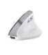 Trust Bayo II - Ergonomic Wireless Mouse (white)