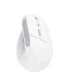 Trust Bayo II - Ergonomic Wireless Mouse (white)
