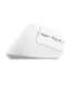 Trust Bayo II - Ergonomic Wireless Mouse (white)