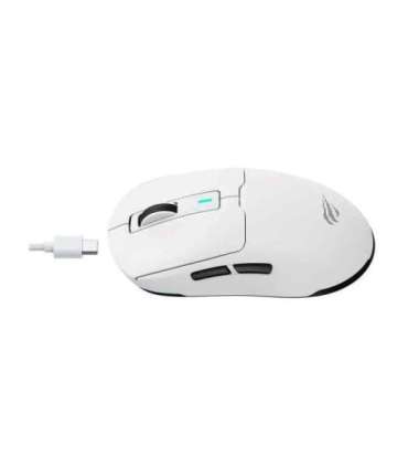 Havit MS969WB - 2.4G wireless gaming mouse, black and white