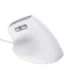 Trust Bayo II mouse Office Right-hand USB Type-A Optical 2400 DPI