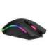 Havit MS1001S - Optical right-handed gaming mouse, USB type A, black-grey