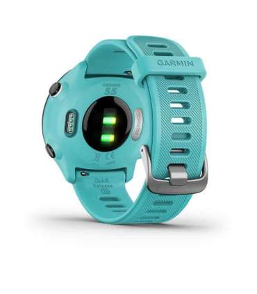 Garmin Forerunner 55 2.64 cm (1.04") MIP 42 mm Digital 208 x 208 pixels GPS (satellite)
