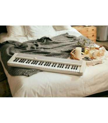 Casio CT-S1 Digital synthesizer 61 White
