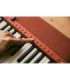 Casio CT-S1 Digital synthesizer 61 Red