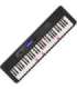 Casio LK-S450 synthesizer Digital synthesizer 61 Black