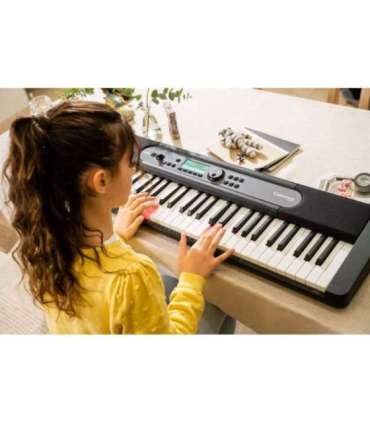 Casio LK-S450 synthesizer Digital synthesizer 61 Black