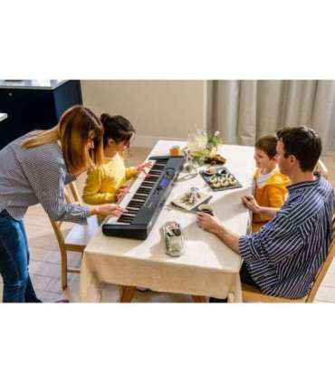 Casio LK-S450 synthesizer Digital synthesizer 61 Black