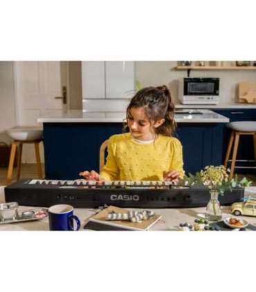 Casio LK-S450 synthesizer Digital synthesizer 61 Black