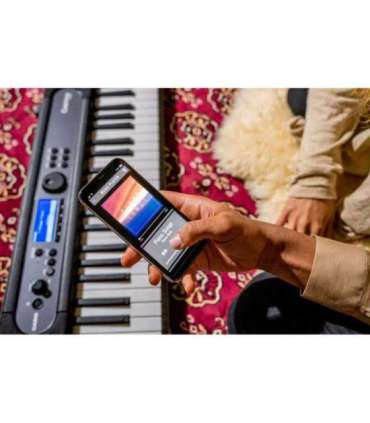 Casio LK-S450 synthesizer Digital synthesizer 61 Black