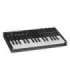 M-AUDIO Oxygen Pro Mini MIDI keyboard 32 keys USB Black