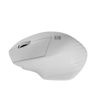 NATEC WIRELESS MOUSE SISKIN 2 BT 5.0 + 2.4GHZ