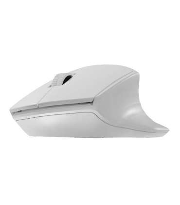 NATEC WIRELESS MOUSE SISKIN 2 BT 5.0 + 2.4GHZ