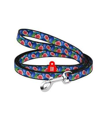 WAUDOG nylon dog leash 20 mm wide, 122 cm long "fig"