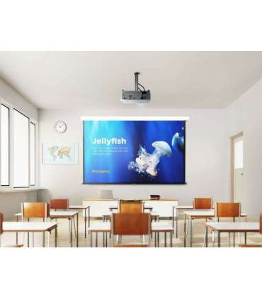 Viewsonic PA504W data projector Standard throw projector 4000 ANSI lumens DLP WXGA (1280x800) White