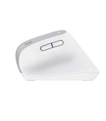 Trust Bayo+ mouse Office Right-hand RF Wireless + Bluetooth Optical 2400 DPI