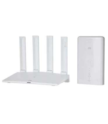 Router ZTE MC889+T3000