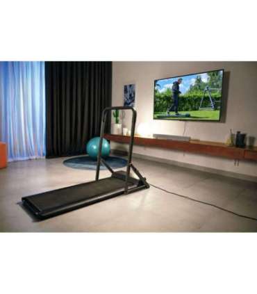 Electric treadmill Kingsmith WALKING PAD WPA1F PRO