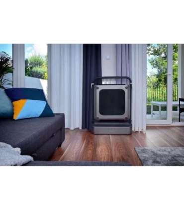 Kingsmith Walking Pad TRR1F electric treadmill